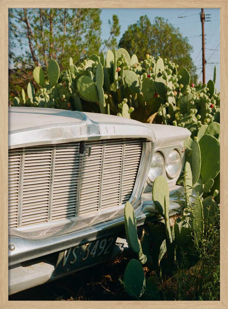 Vintage Car Desert Bloom Art Print UK — Botanical Fresh Wall Art — Living Room — Wall It All Prints