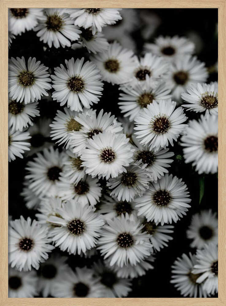 Tiny Flowers 3 Art Print UK — Botanical Fresh Wall Art — Living Room — Wall It All Prints