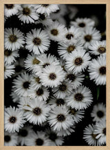 Tiny Flowers 3
