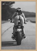 Freedom Rider