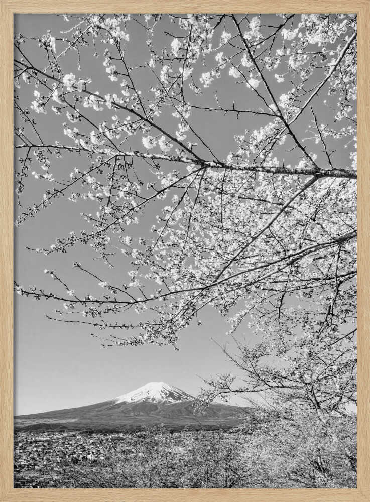 Mount Fuji Cherry Spring Art Print UK — Japanese Calm Wall Art — Living Room — Wall It All Prints