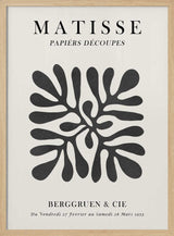 Organic Abstract Shapes