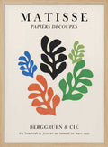 Vibrant Leaf Shapes
