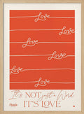 Love Not Just A Word
