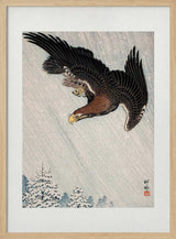 Eagle Flying In Snow (1933)