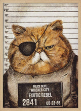 Funny Cat