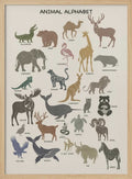 Charming Animal Alphabet