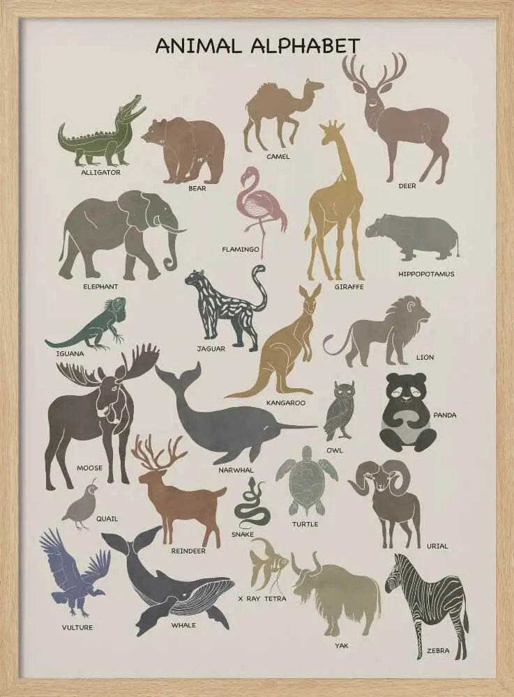 Charming Animal Alphabet casa cartissi