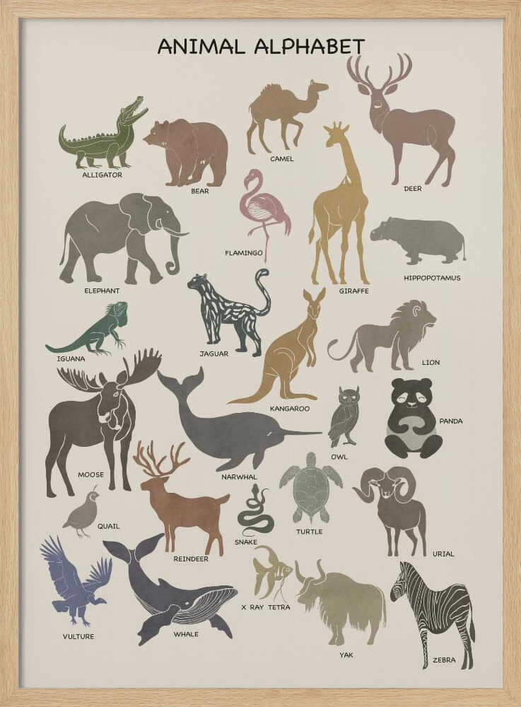 Charming Animal Alphabet