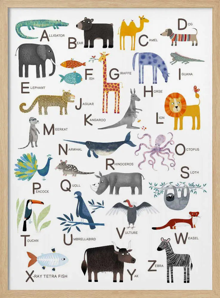 Colorful Animal Alphabet Nic Squirrell