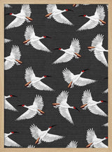Graceful White Birds Flying