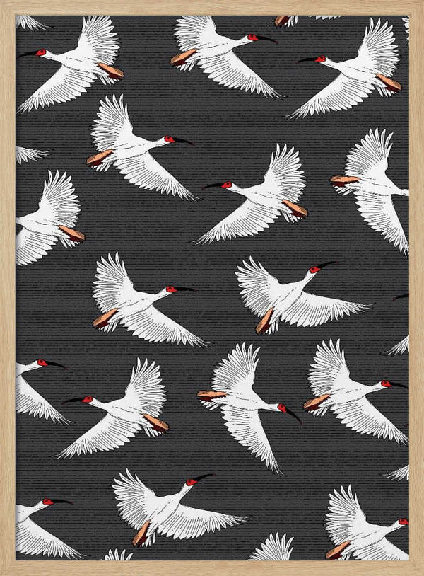 Graceful White Birds Flying Nicholas