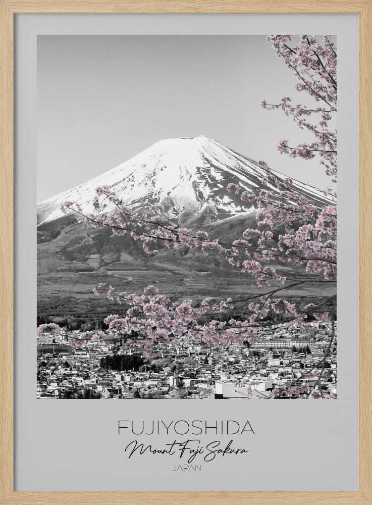 Mount Fuji Pink Sakura Melanie Viola