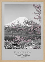 Mount Fuji Pink Sakura Melanie Viola