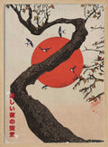 Red Sun Tree Swallows