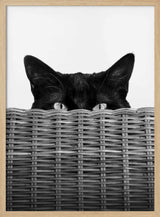 Peeking Cat Eyes Art Print UK — Abstract Dark Wall Art — Living Room — Wall It All Prints