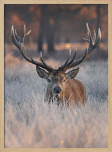 Majestic Winter Stag Art Print UK — Portrait Calm Wall Art — Bedroom — Wall It All Prints