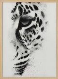 Intense Leopard Gaze