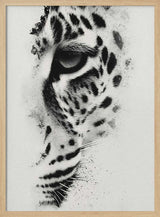 Intense Leopard Gaze