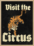 Roaring Circus Tiger