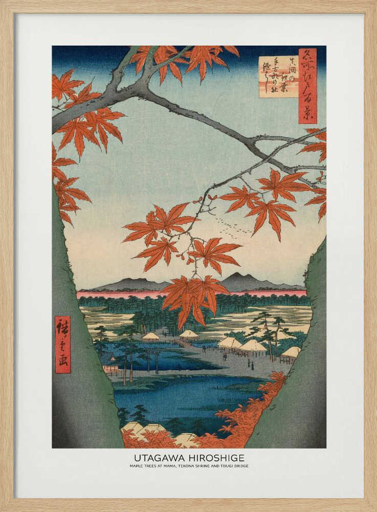 Maple Trees At Mama, Tekona Shrine and Tdugi Bridge