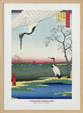 Minowa, Kanasugi, and Mikawashima