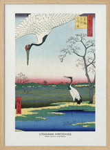 Minowa, Kanasugi, and Mikawashima