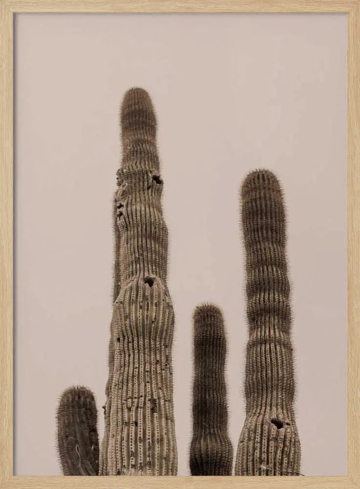 Tall Saguaro Cacti Art Print UK — Botanical Calm Wall Art — Bedroom — Wall It All Prints