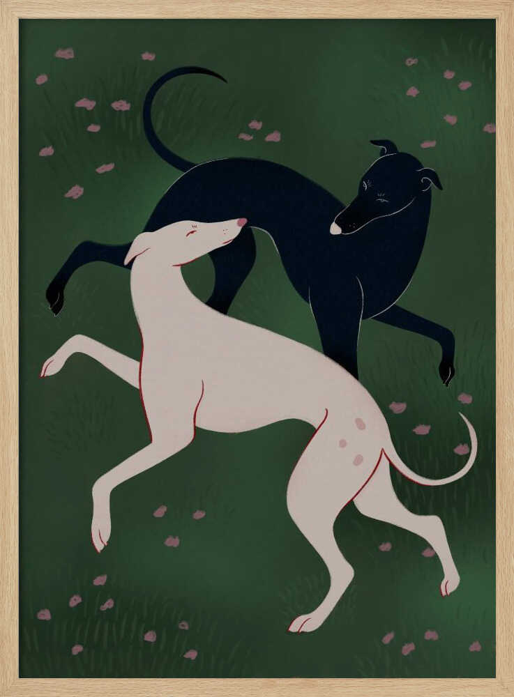 Elegant Greyhound Pair