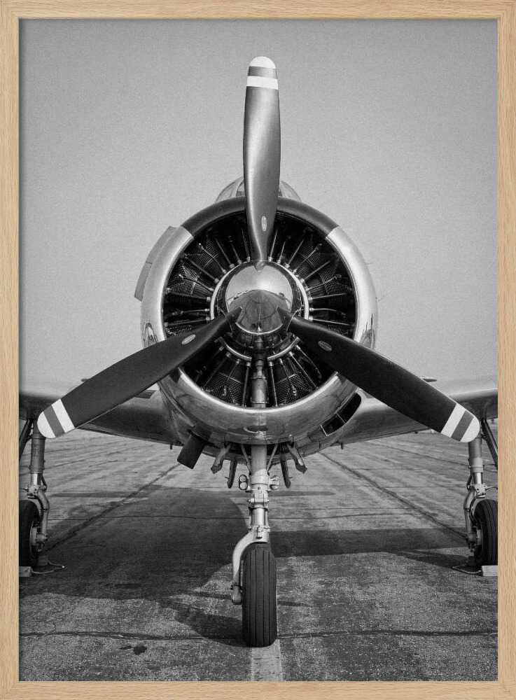 Polished Vintage Aircraft
