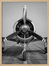 Polished Vintage Aircraft