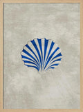 Blue Striped Scallop