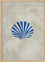 Blue Striped Scallop