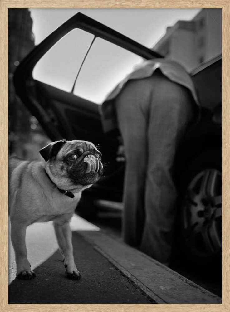 Pug's Funny Moment Art Print UK — Vintage Dark Wall Art — Living Room — Wall It All Prints