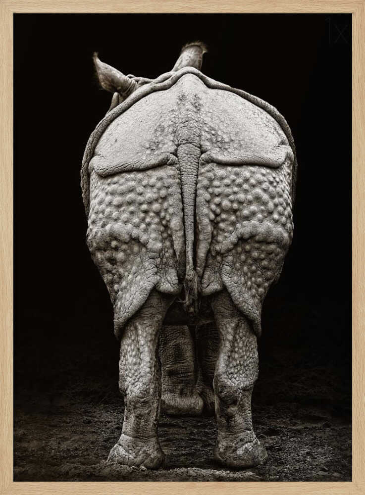Textured Rhino Back Art Print UK — Dark Moody Dark Wall Art — Living Room — Wall It All Prints
