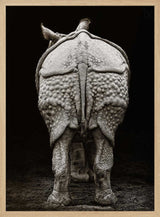 Textured Rhino Back