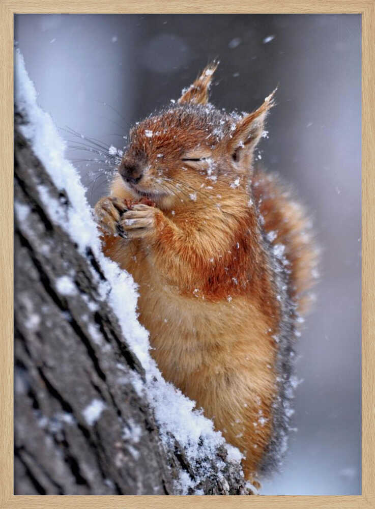 Happy Winter Squirrel Art Print UK — Landscape Calm Wall Art — Living Room — Wall It All Prints