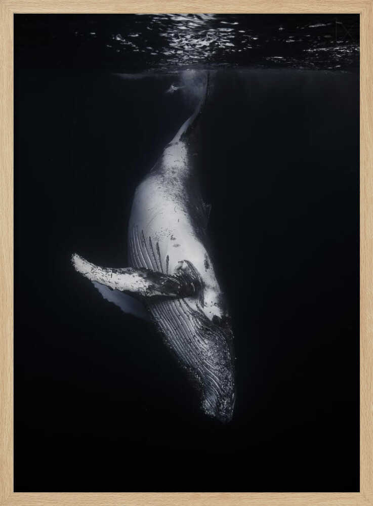 Whale In The Deep Art Print UK — Dark Moody Dark Wall Art — Living Room — Wall It All Prints