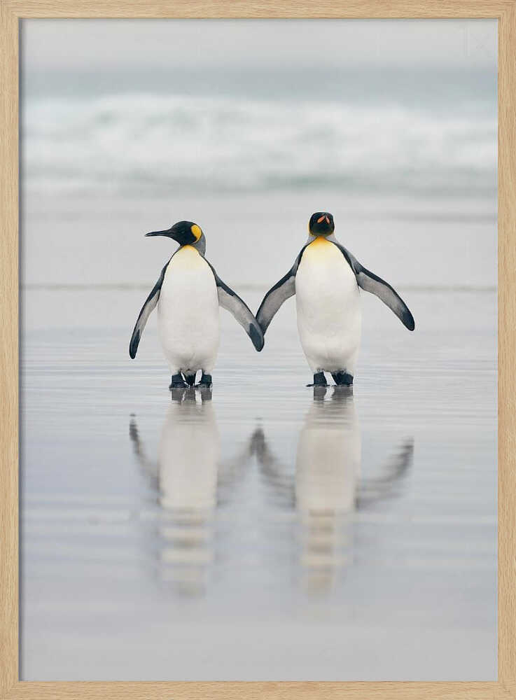Loving Penguin Couple Art Print UK — Landscape Calm Wall Art — Bedroom — Wall It All Prints