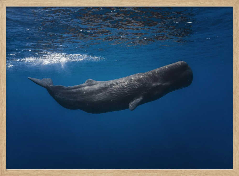 Deep Blue Whale Art Print UK — Landscape Calm Wall Art — Bedroom — Wall It All Prints