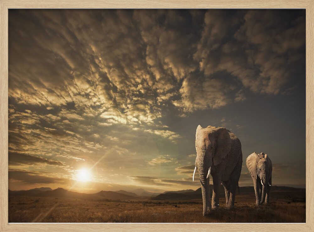 African Sunset Elephants Art Print UK — Landscape Calm Wall Art — Living Room — Wall It All Prints