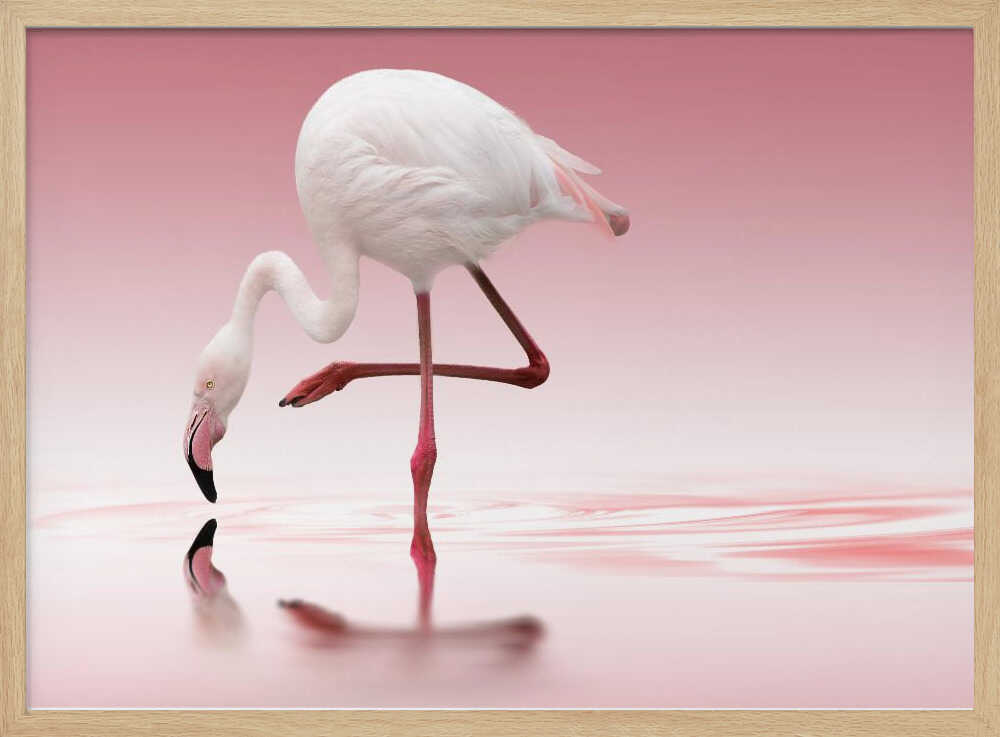 Pink Flamingo Reflection Art Print UK — Animal Calm Wall Art — Bedroom — Wall It All Prints