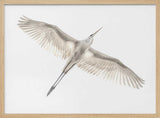 Graceful Egret In Flight Art Print UK — Abstract Vibrant Wall Art — Office — Wall It All Prints