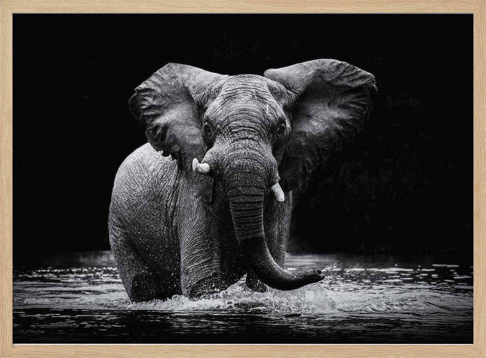 Majestic Elephant In Water Art Print UK — Dark Moody Dark Wall Art — Living Room — Wall It All Prints