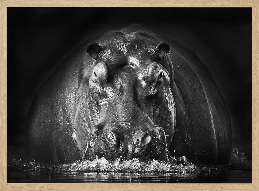 Powerful Hippo Emerge Art Print UK — Dark Moody Dark Wall Art — Living Room — Wall It All Prints