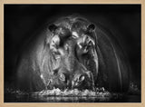 Powerful Hippo Emerge Art Print UK — Dark Moody Dark Wall Art — Living Room — Wall It All Prints