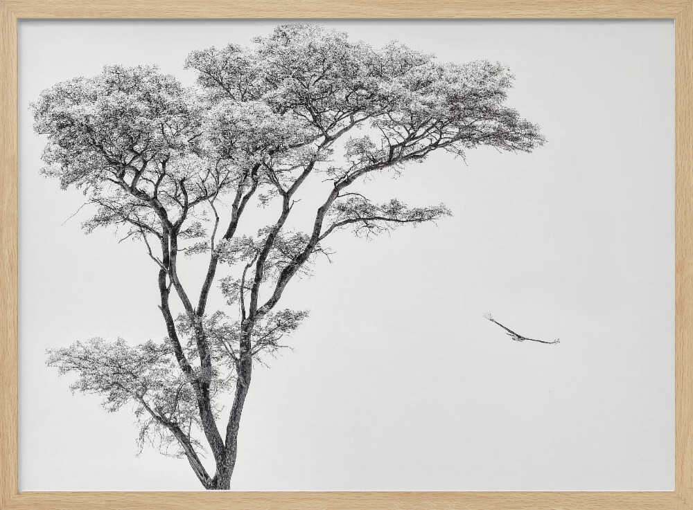 Tree and Bird Flight Art Print UK — Abstract Calm Wall Art — Bedroom — Wall It All Prints