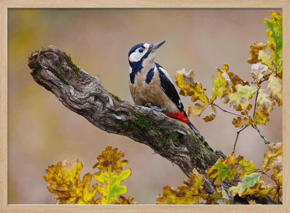 Autumn Woodpecker Art Print UK — Landscape Dark Wall Art — Living Room — Wall It All Prints