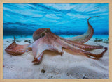 Gentle Octopus Underwater Art Print UK — Landscape Calm Wall Art — Bedroom — Wall It All Prints
