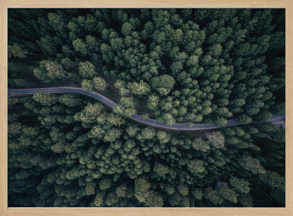 Winding Forest Road Art Print UK — Landscape Calm Wall Art — Living Room — Wall It All Prints